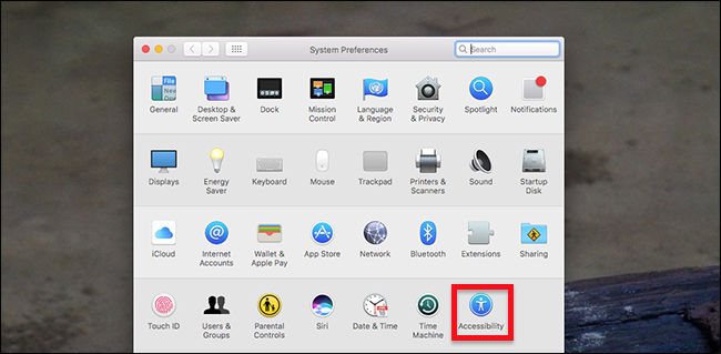 Cara Membuat Cursor Mouse Di MacOS Lebih Besar