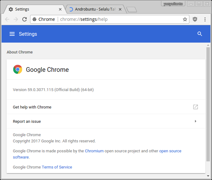 cara cek chrome 32 bit 64 bit