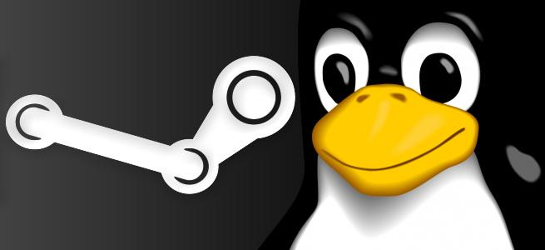 5 Alasan Aneh Kenapa Pengguna Windows Bajakan Enggan Menggunakan Linux
