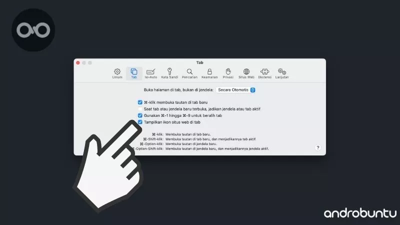 Cara Menyembunyikan atau Menampilkan Ikon Situs Web di Safari by Androbuntu 3