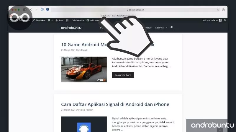 Cara Menyembunyikan atau Menampilkan Ikon Situs Web di Safari by Androbuntu 5