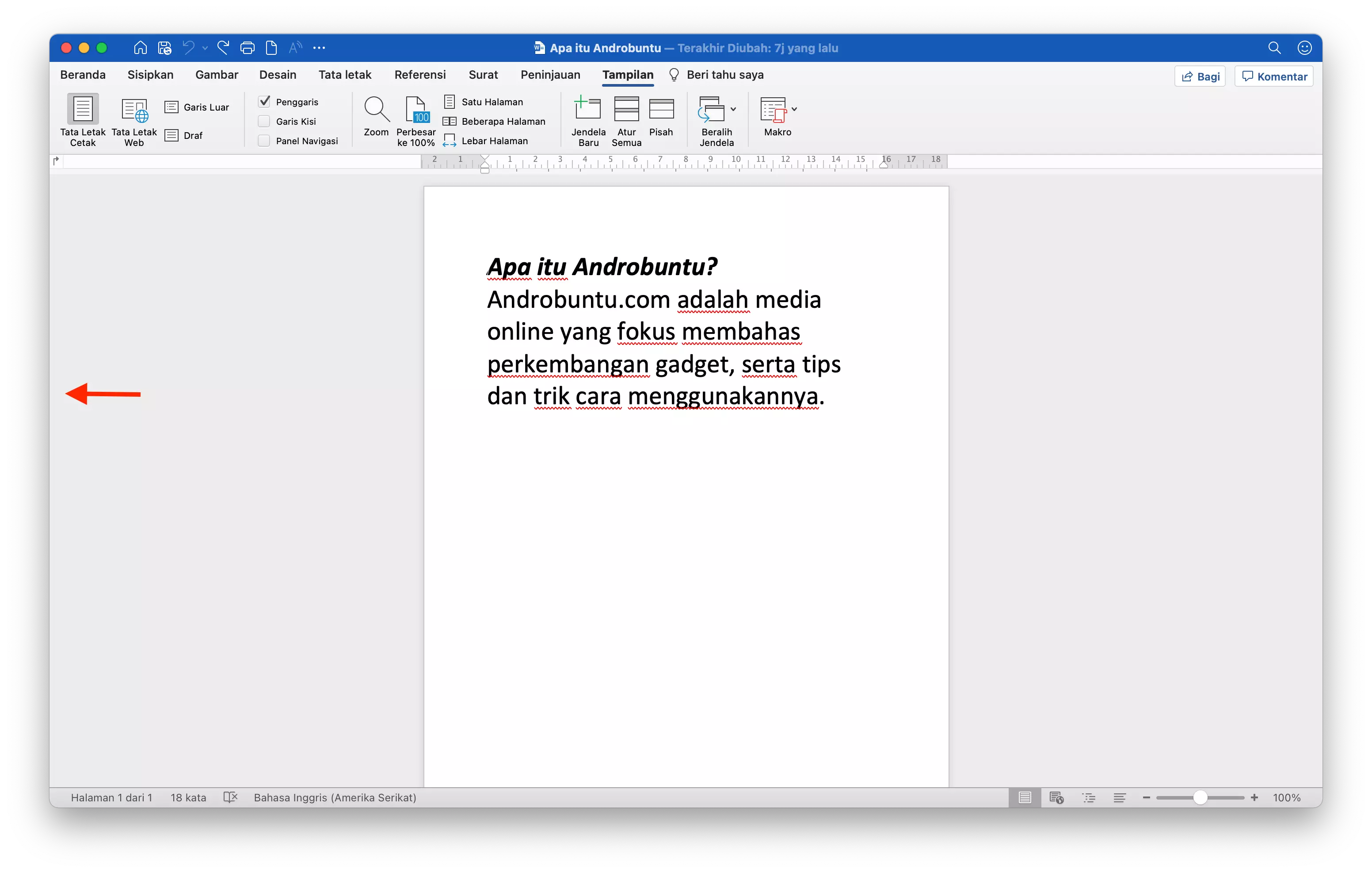 Cara Menampilkan Penggaris di Microsoft Word by Androbuntu 5