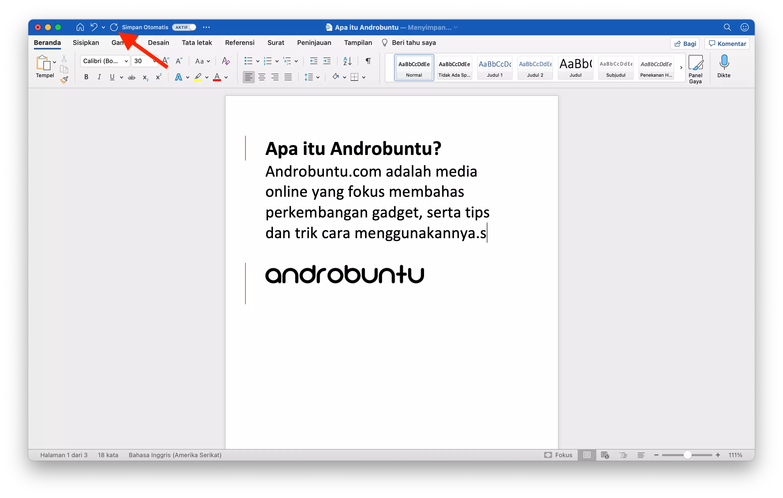 Cara Undo di Microsoft Word by Androbuntu 3