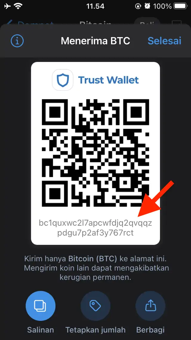 Cara Melihat Alamat Dompet di Trust Wallet by Androbuntu 4
