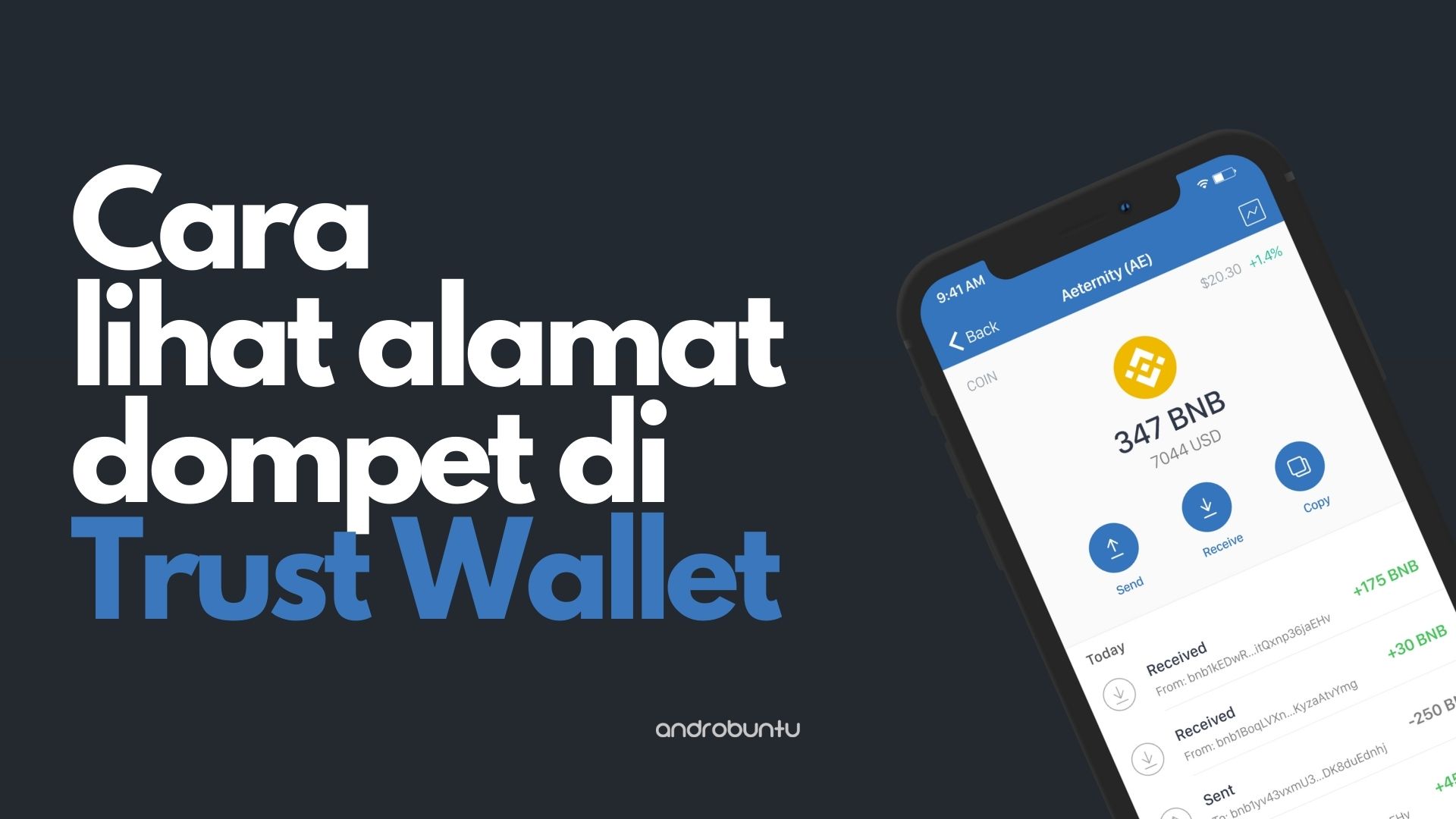 Cara Melihat Alamat Dompet di Trust Wallet by Androbuntu