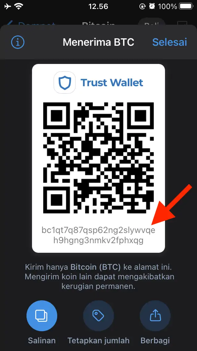 Cara Membuat Akun Trust Wallet by Androbuntu 8
