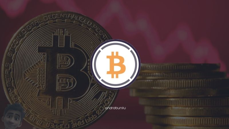 Apa itu Wrapped Bitcoin by Androbuntu