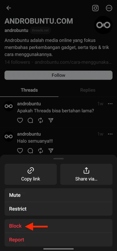 Cara Blokir Orang di Aplikasi Threads 3