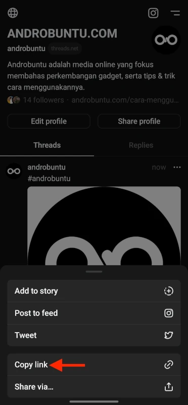 Cara Download Foto dan Video Threads 2