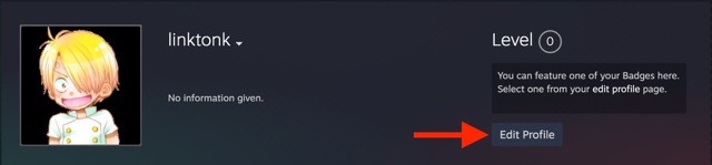 Profil Steam Private 2