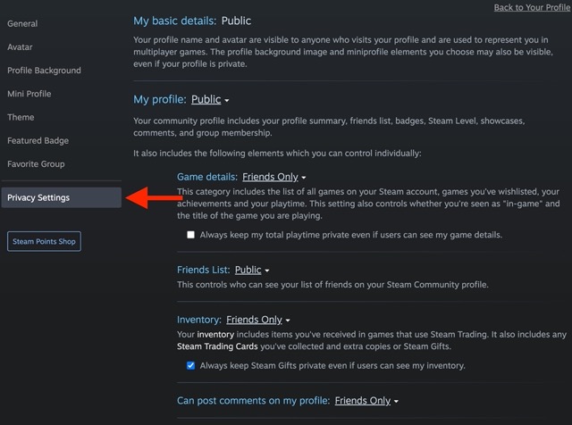 Profil Steam Private 3