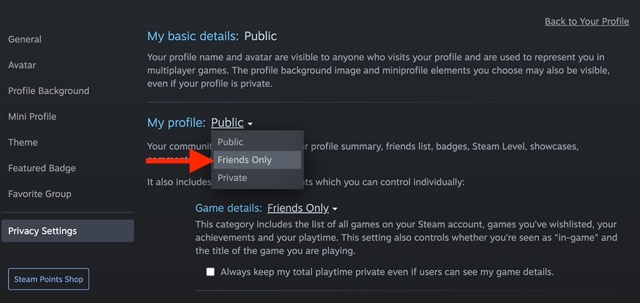 Profil Steam Private 4
