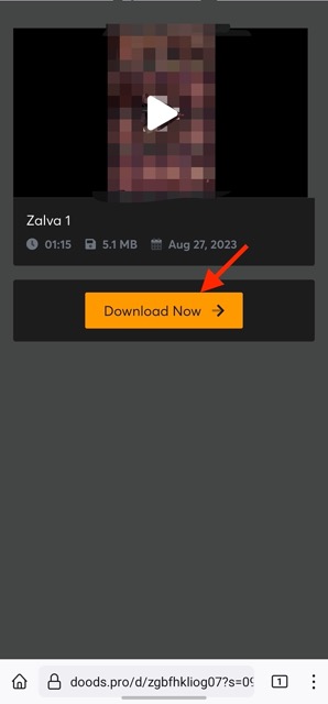 Cara Download Video Doodstream 1