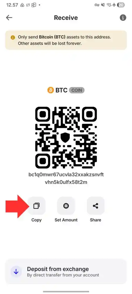 Cara Melihat Alamat Dompet di Trust Wallet by Androbuntu 3
