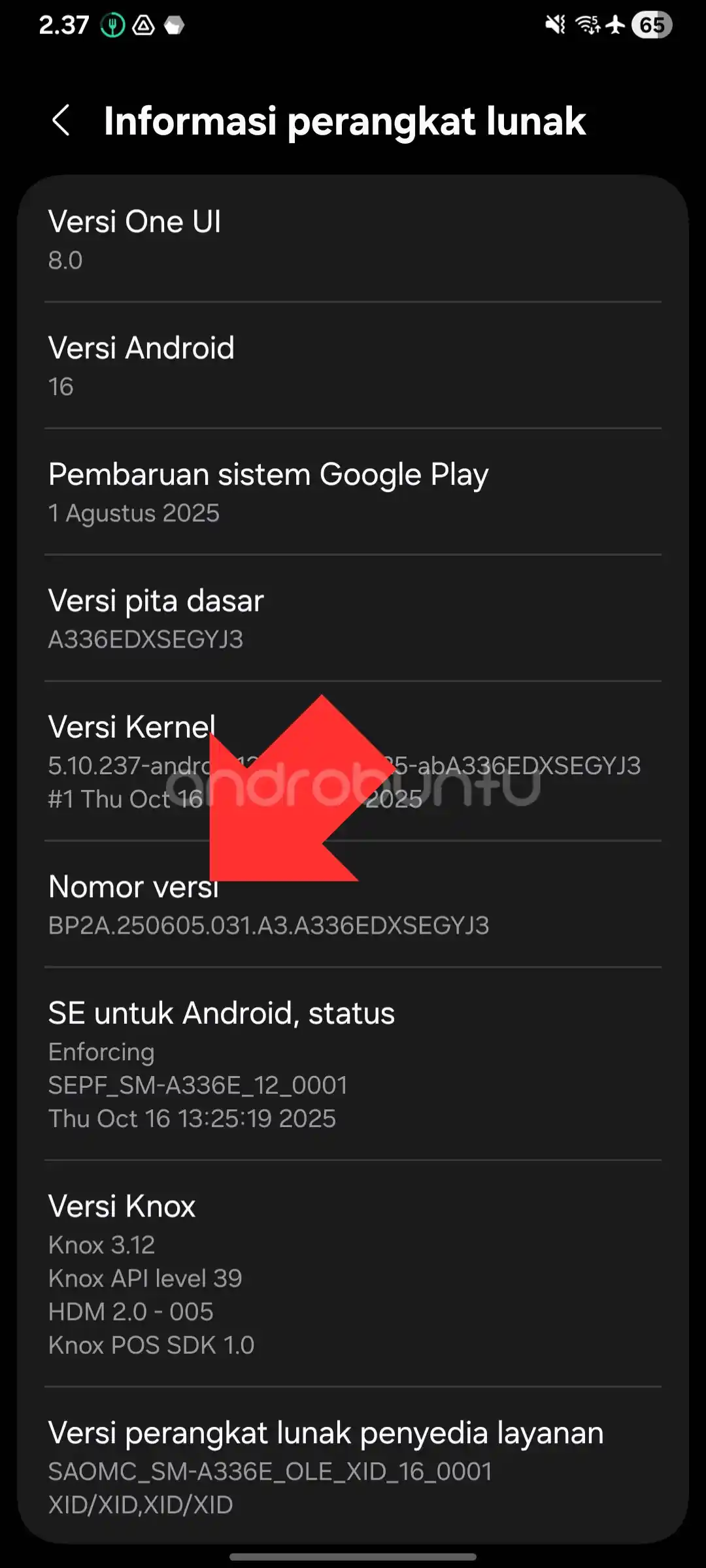 Cara menggunakan Shizuku dan Hail 3