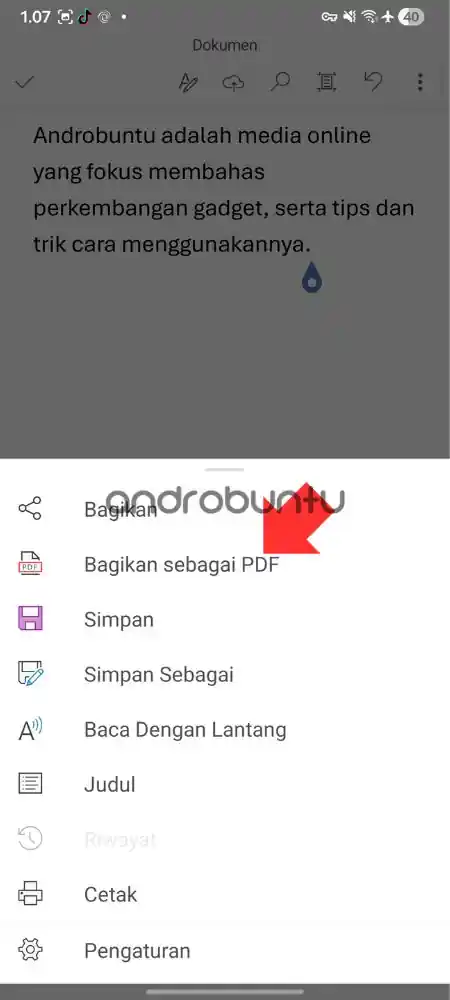 cara mengubah word menjadi pdf